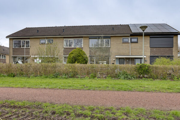 Kampen – Fluitekruid 13