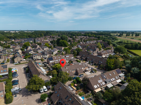 Kampen – Pinksterbloem 48