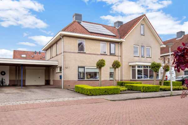 Nijverdal – Lepelblad 12