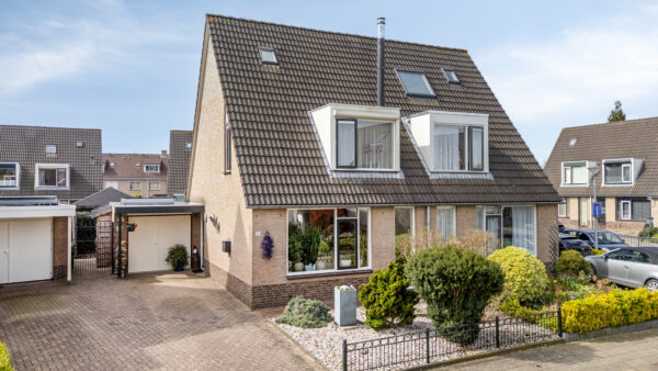 Duiven – Goudreinette 16